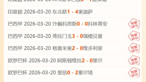 帕尔梅拉斯对阵格雷米奥：专家预测胜局分析